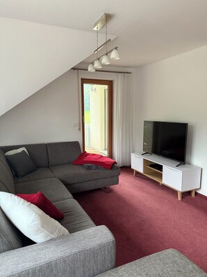 电视、DVD 播放器、书