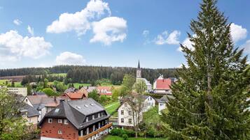 Esterni
