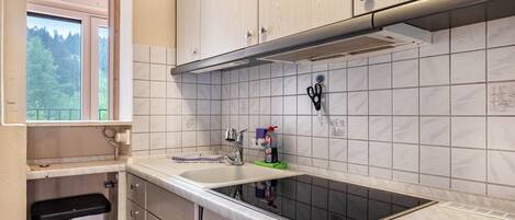 Fridge, microwave, stovetop, dishwasher