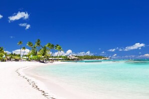 Une plage de sable blanc, avec une eau turquoise cristalline et des palmiers.