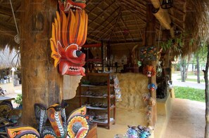 Unclassified image, 2 of 19, button