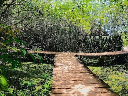 “Luxury 4BR Villa with Sunlit Courtyard – Calm Thalawathugoda Retreat”