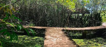 “Luxury 4BR Villa with Sunlit Courtyard – Calm Thalawathugoda Retreat”