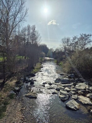 Miscellaneous - THE CHARM OF THE COUNTRYSIDE (Saint-Avit)