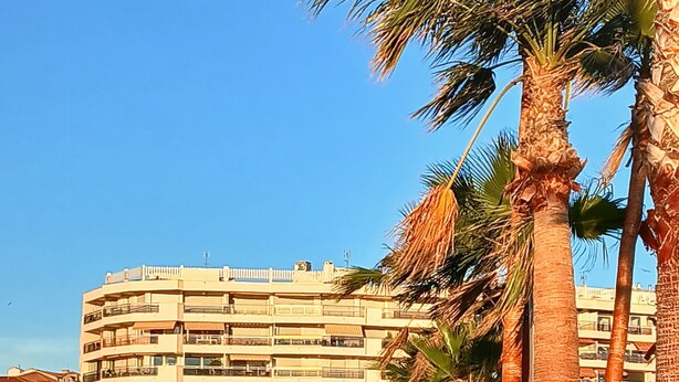 A multi-story hotel with balconies, palm trees, and a pool area. - Studio 30 meters from the beach, Saint Raphaël, near TGV station and town center, parking. (Saint-Raphaël)
