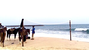 Una playa con una red de voleibol, caballos y una persona de pie cerca de la red.