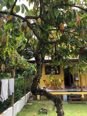 Unclassified image, 3 of 25, button - Casa Amare Taipu de Dentro - Beachfront property on the Maraú Peninsula (Maraú)