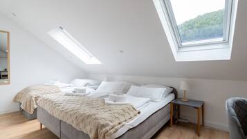 Skrivebord, strykejern/-brett, wi-fi og sengetøy