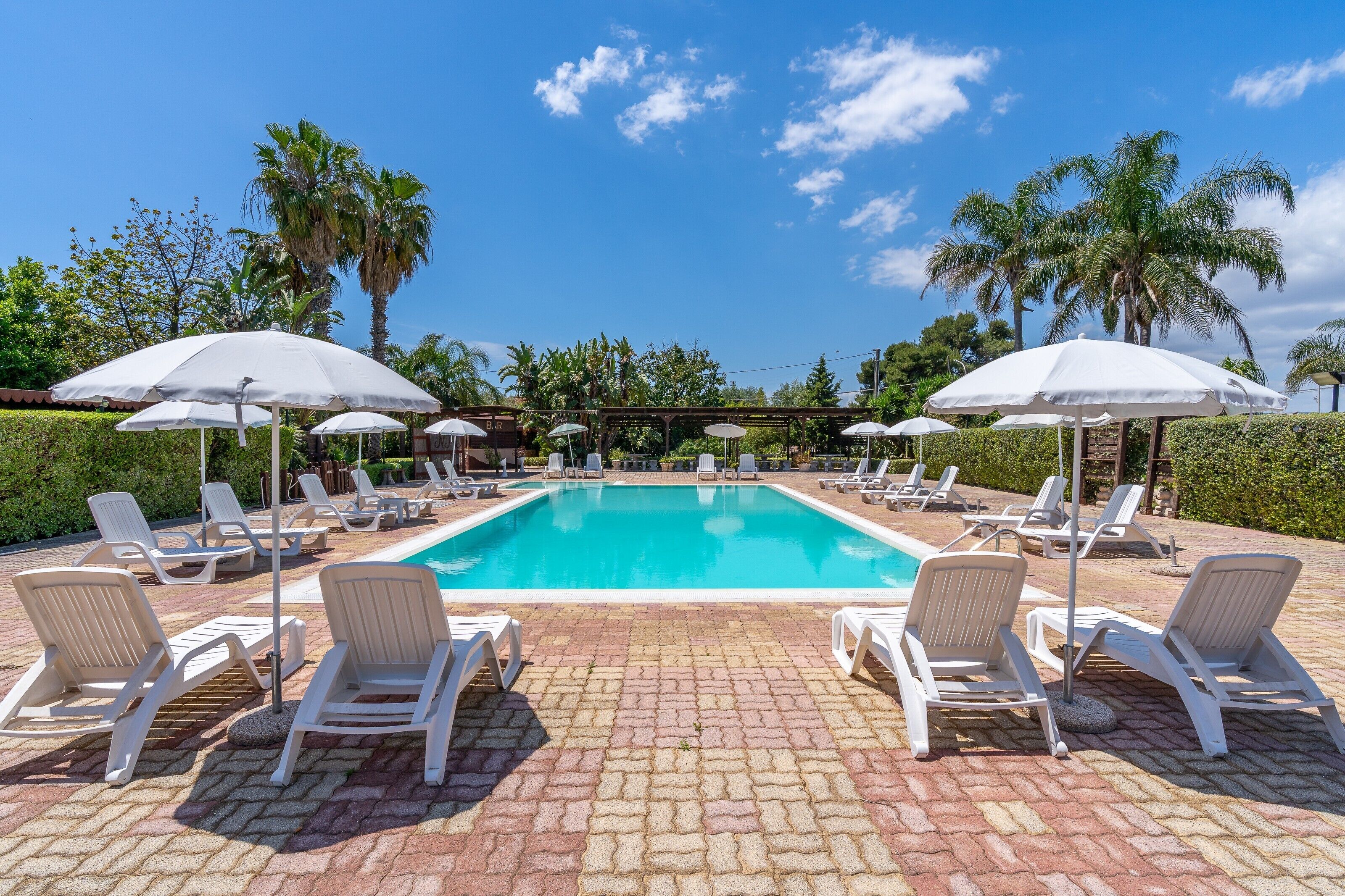 A swimming pool with lounge chairs and umbrellas, surrounded by palm trees and hedges.