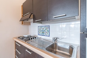 Frigorífic, microones, placa de cuina i cafetera i tetera 