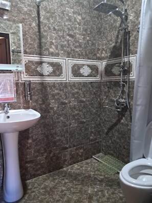 Hair dryer, towels, soap, toilet paper