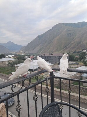 Photo non classée, 5 sur 23, bouton