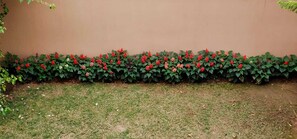 Property grounds - Beltola Lodge - a serene homestay (Guwahati)