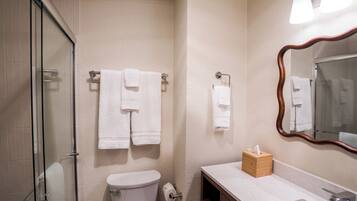 A bathroom with a glass shower enclosure, a toilet, a sink with a mirror, and towels on towel racks.