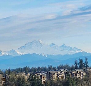 Unclassified image, 3 of 8, button