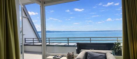 Televisión, reproductor de DVD, libros y biblioteca musical