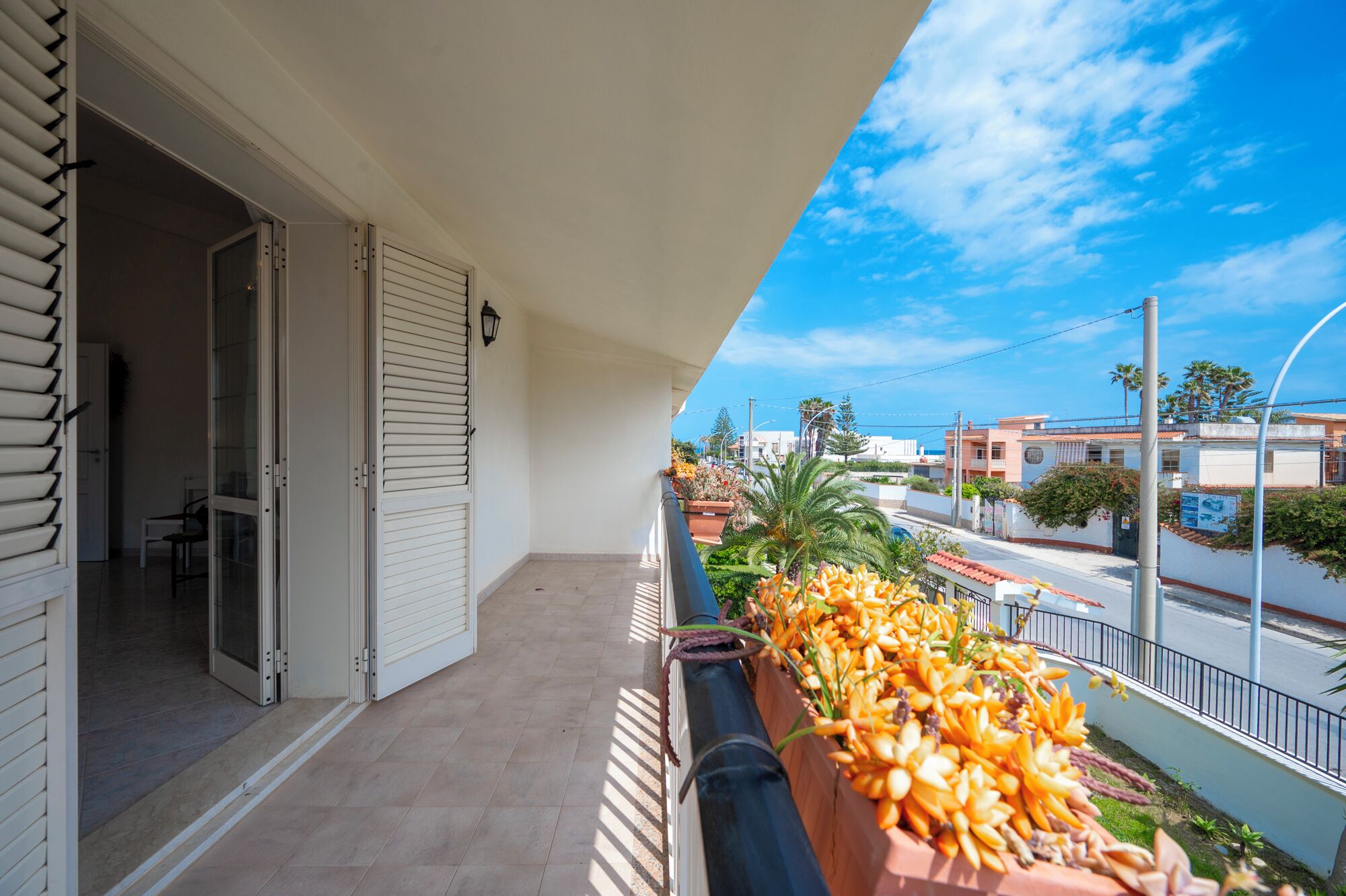 A balcony with a view of a residential area, a potted plant with orange flowers, and a door leading to an interior space.