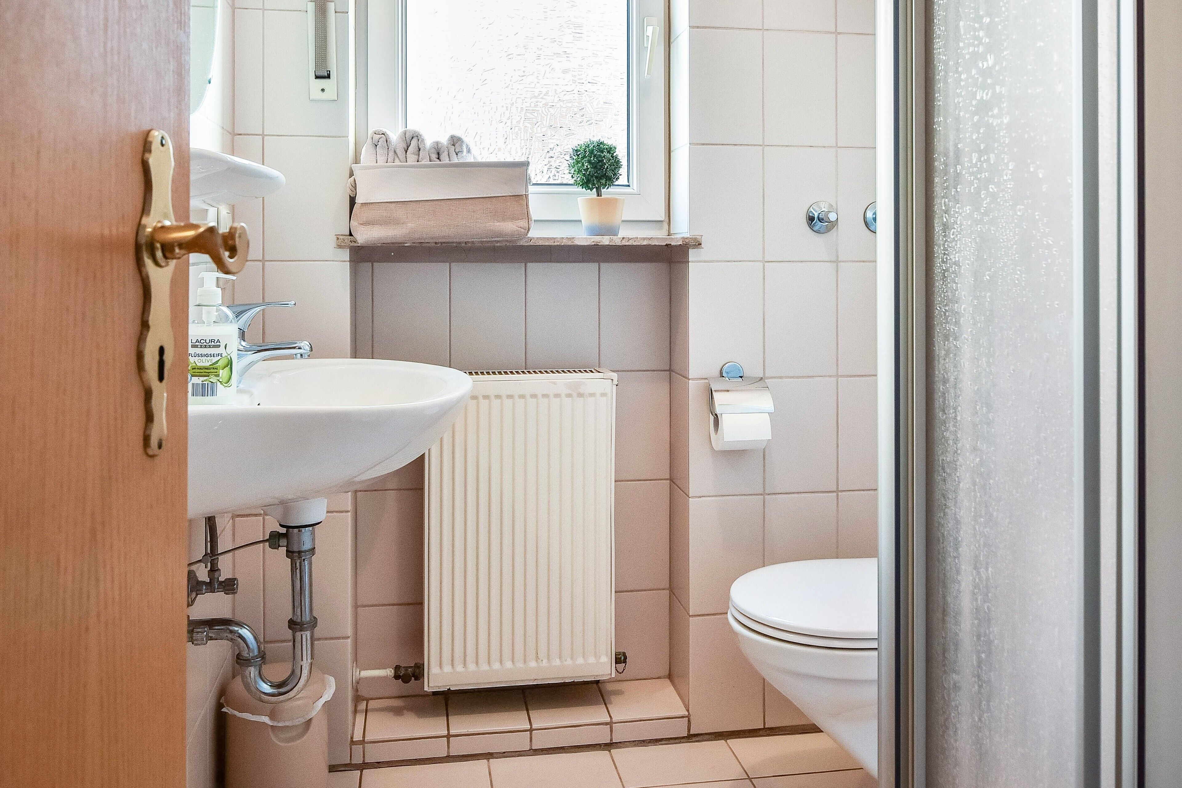 Shower, hair dryer, towels