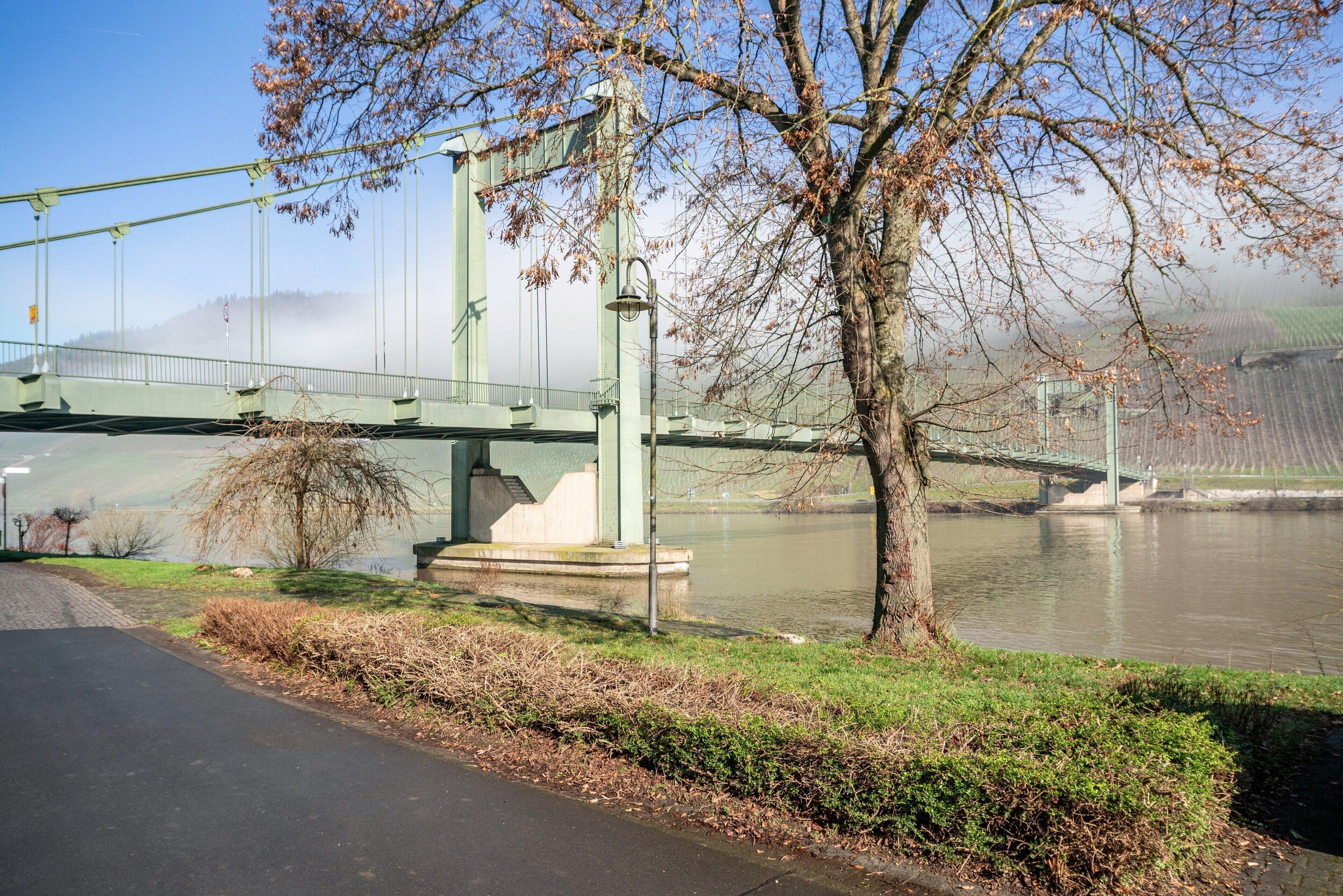 A green pedestrian bridge over a river, a tree, and a paved path.