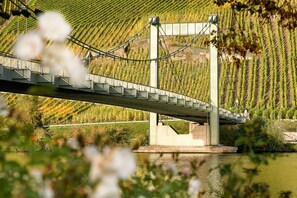 Un puente sobre un río, con un viñedo al fondo.