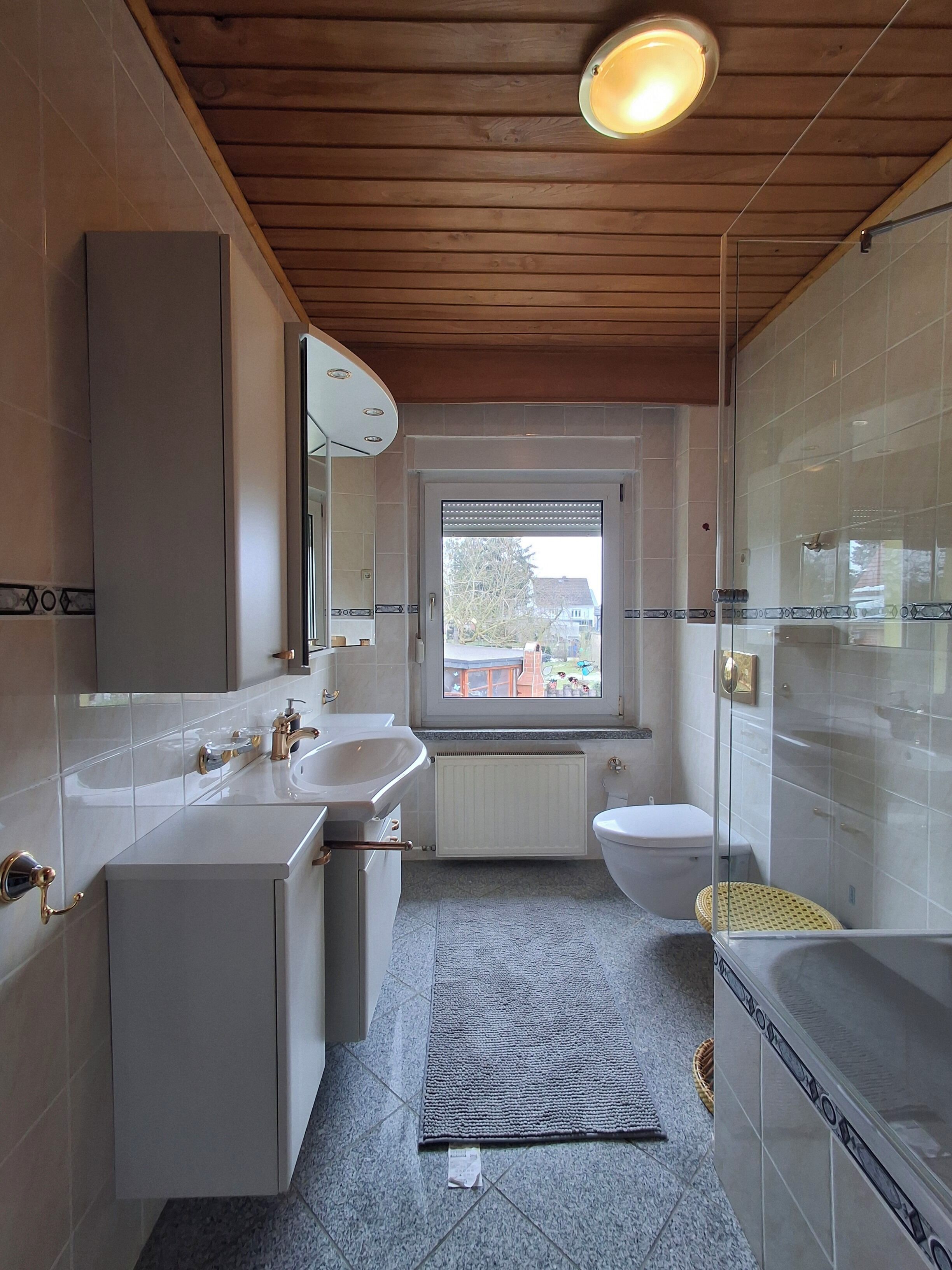 Shower, towels, toilet paper