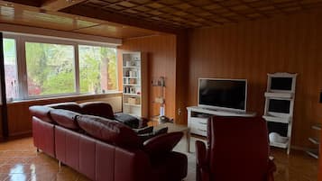 Télévision, cheminée, livres