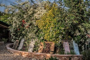 Garden - Haven Morocco (Tafedna)