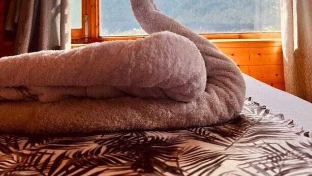 Una habitación con un ventanal grande, una cama con colcha estampada y una serpiente en la cama.