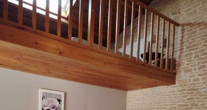 Longère in the heart of the marsh with private port