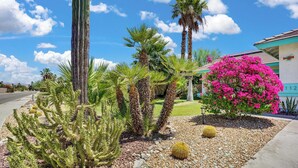 A garden with cacti, palm trees, and a pink flowering bush. - Casa Solara - A Ryson Property (Palm Springs)