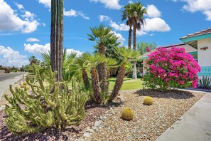 Property grounds - Casa Solara - A Ryson Property (Palm Springs)