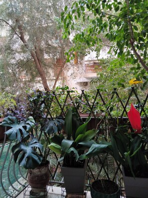 Property grounds - Quiet and bright - an authentic apartment near the Hilton (Athina)