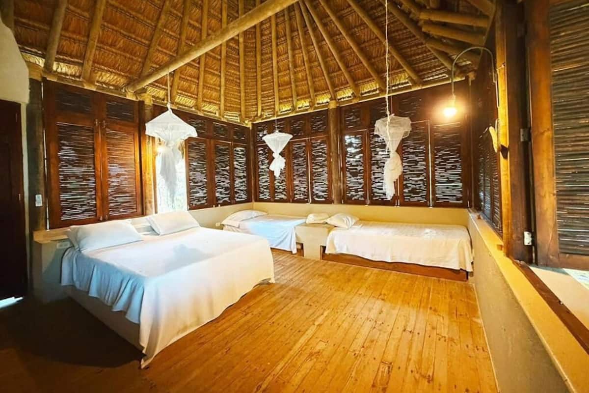 Iron/ironing board, free WiFi