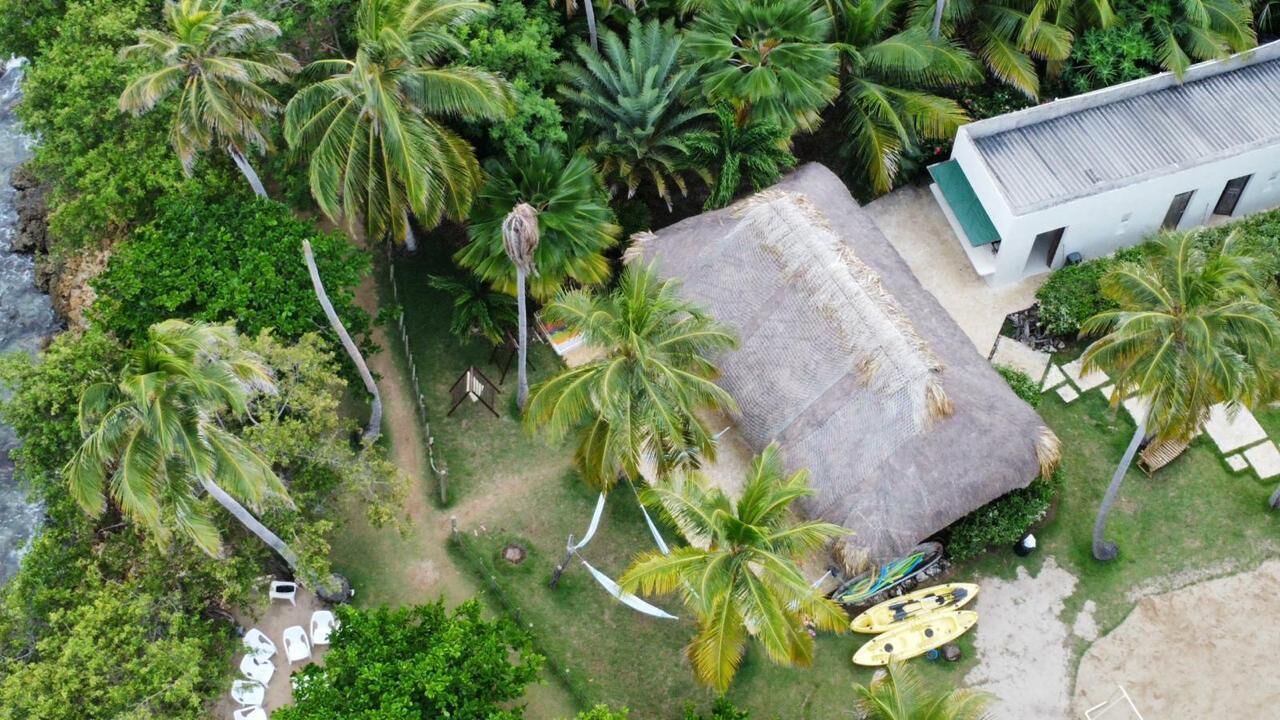 An aerial view of a tropical resort with a thatched-roof building, palm trees, and a beach area with white lounge chairs.