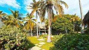 Un jardin tropical avec des palmiers, une structure à toit de chaume et un sentier en pierre.