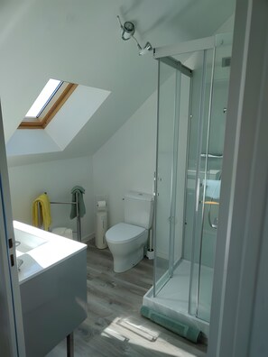 Ducha, secador de pelo y toallas