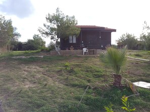 Dış mekân