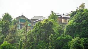 外观细节