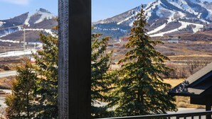 Vista de la montaña con picos nevados, cielo despejado y zona boscosa en primer plano.