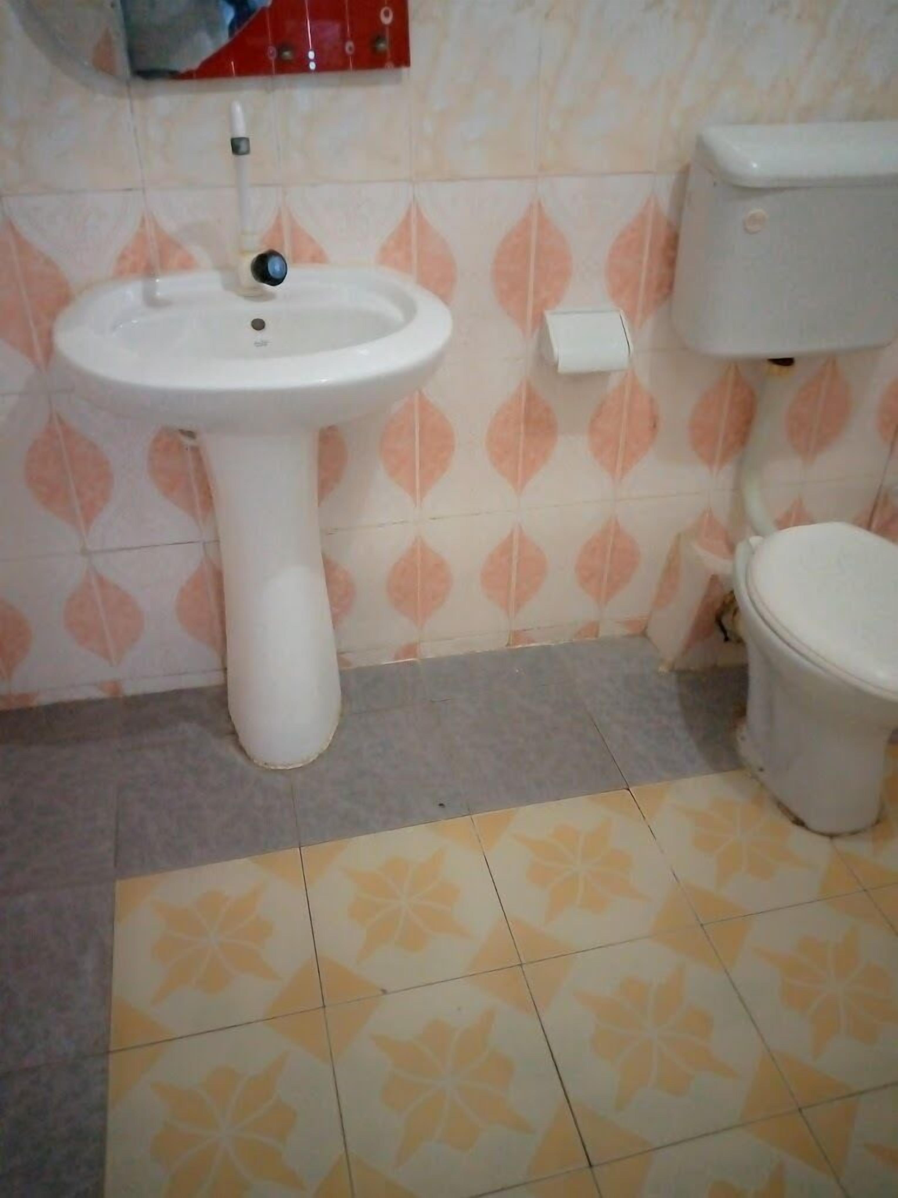 Une salle de bain avec un lavabo sur colonne blanc, des toilettes et des carreaux de sol à motifs.