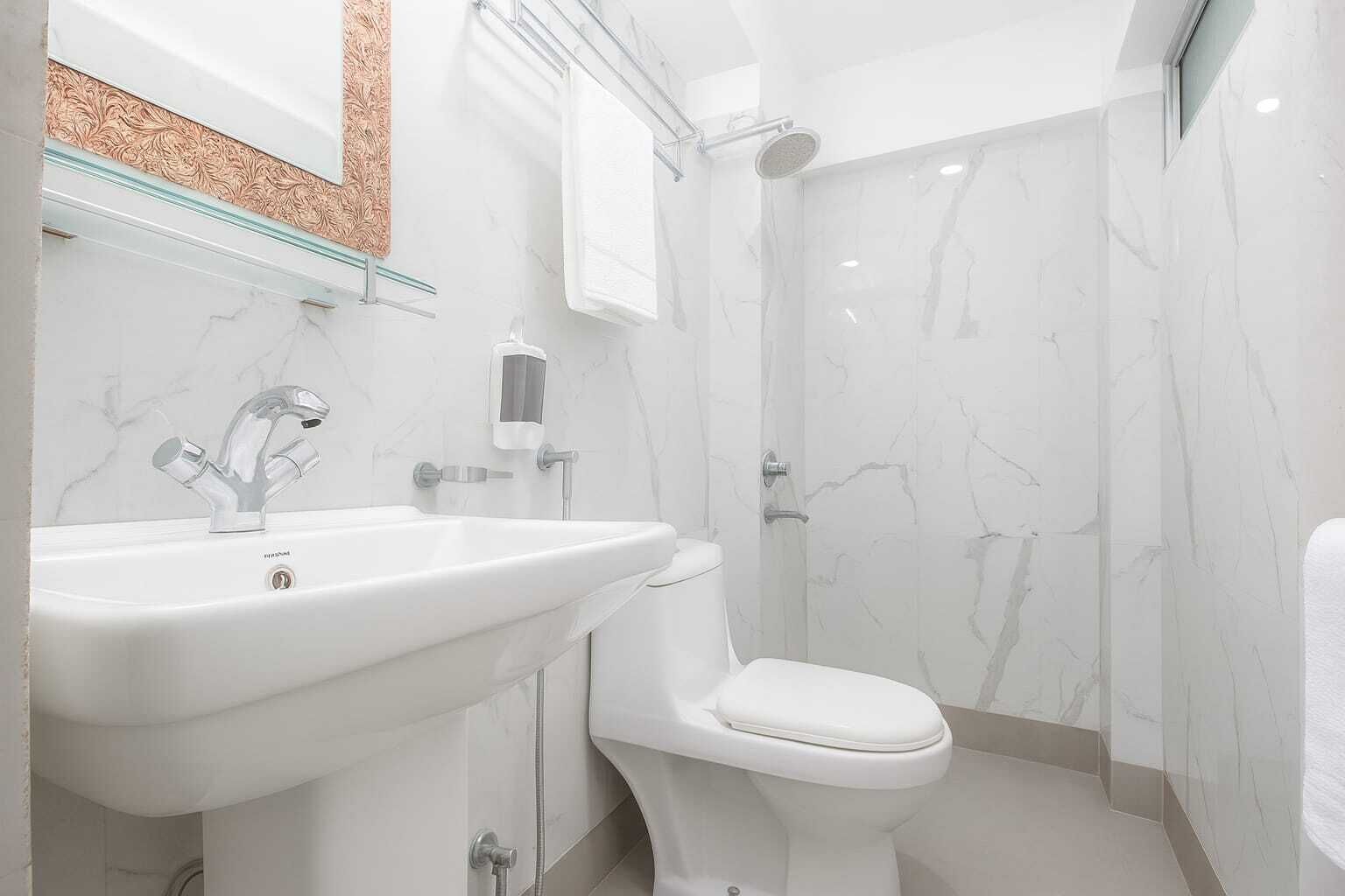 Deluxe Double Room | Bathroom | Free toiletries, towels, soap, toilet paper