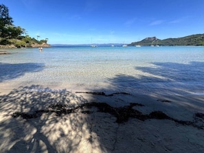 Ein Strand mit klarem Wasser, Booten und Bäumen.
