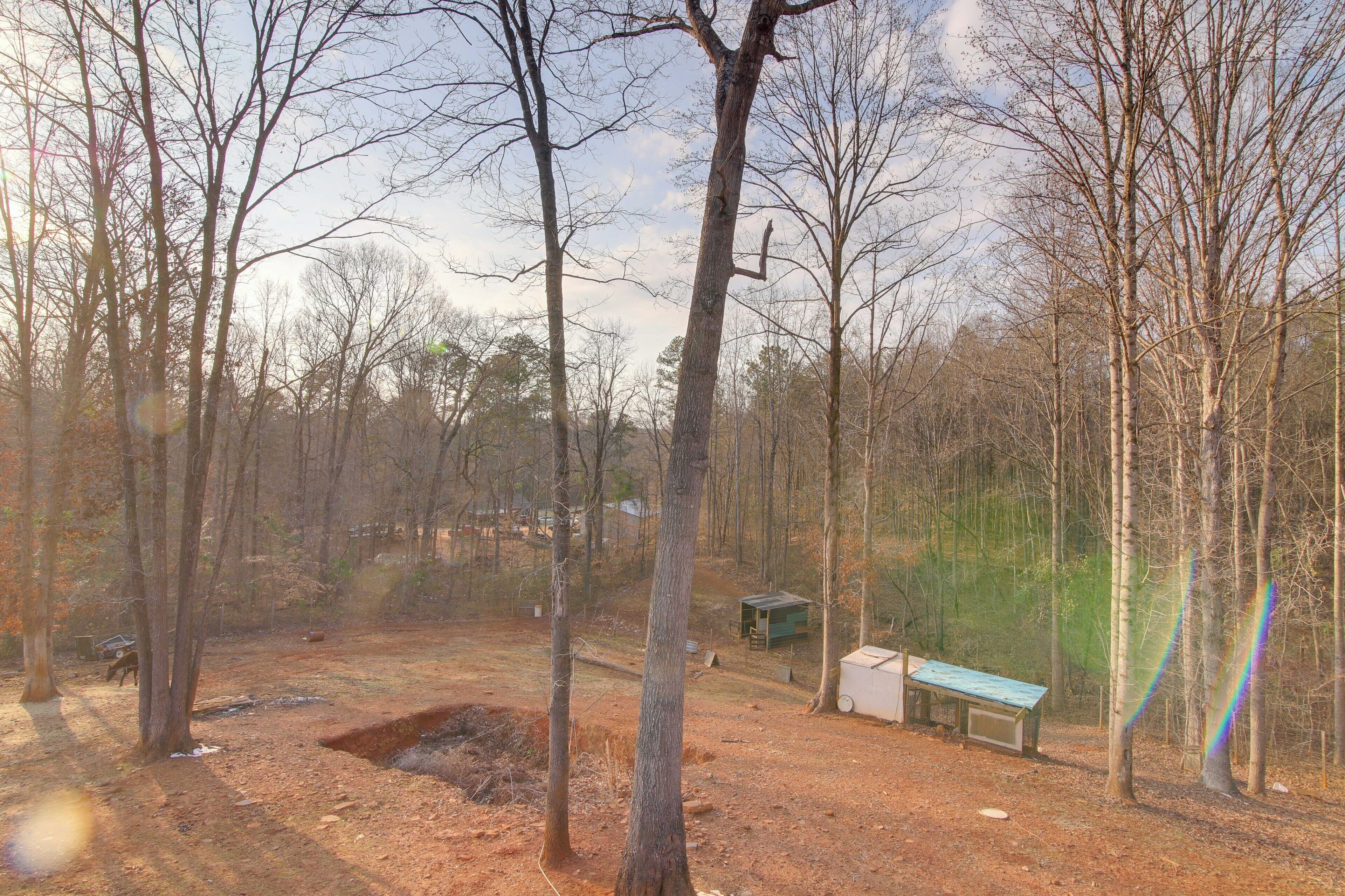 A forested area with a bench and a small shed.