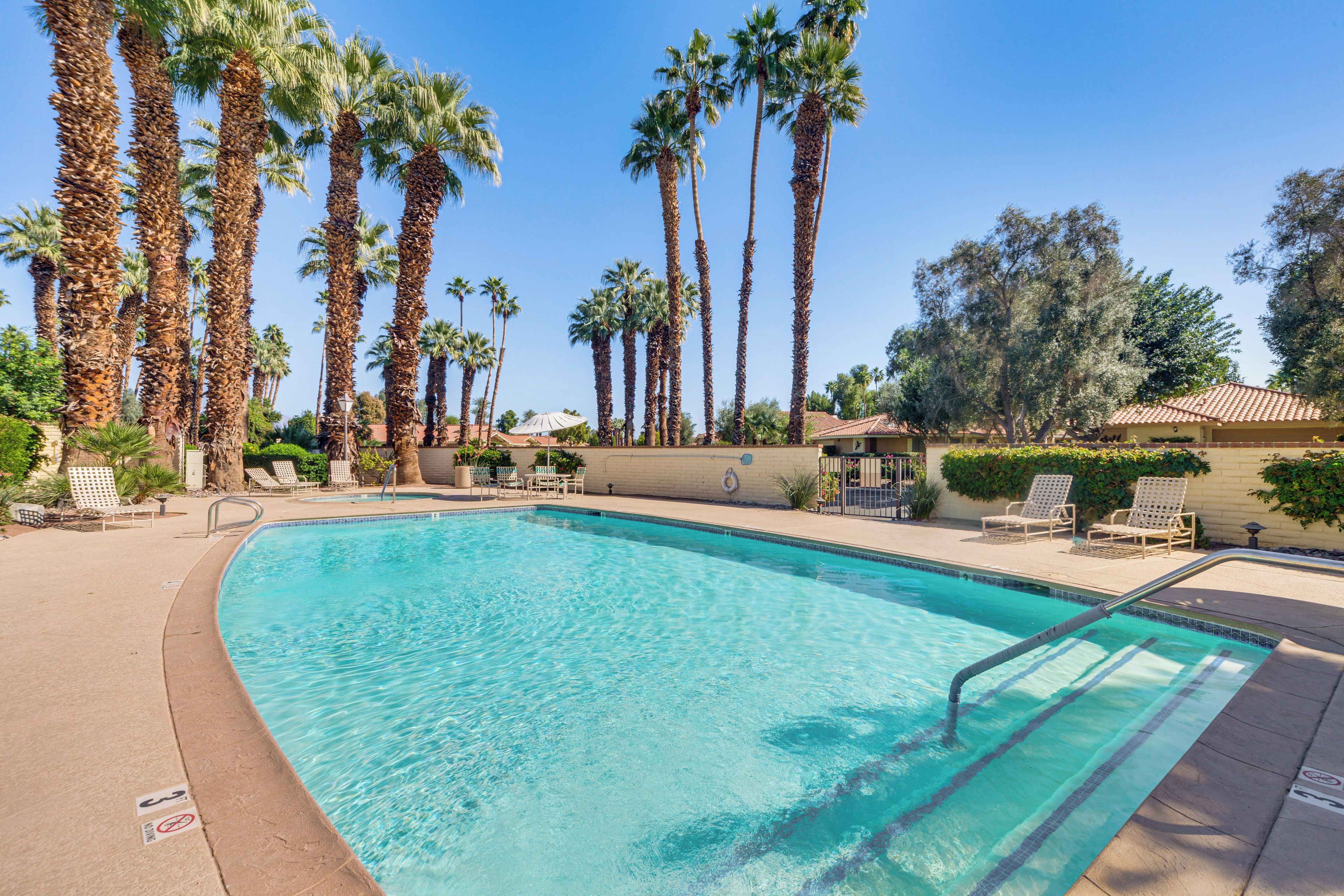 A swimming pool with palm trees and lounge chairs.