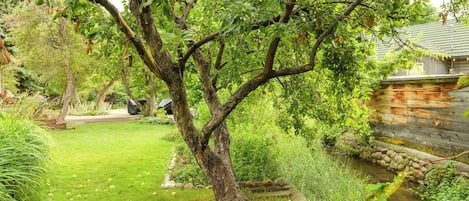 Un jardín con un árbol, un riachuelo pequeño y un muro de piedra.