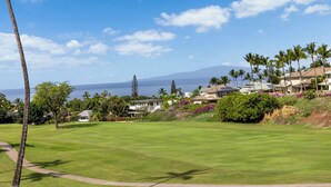 Ein Golfplatz mit freiem Blick auf den Ozean und einer Wohngegend mit Häusern und Palmen.