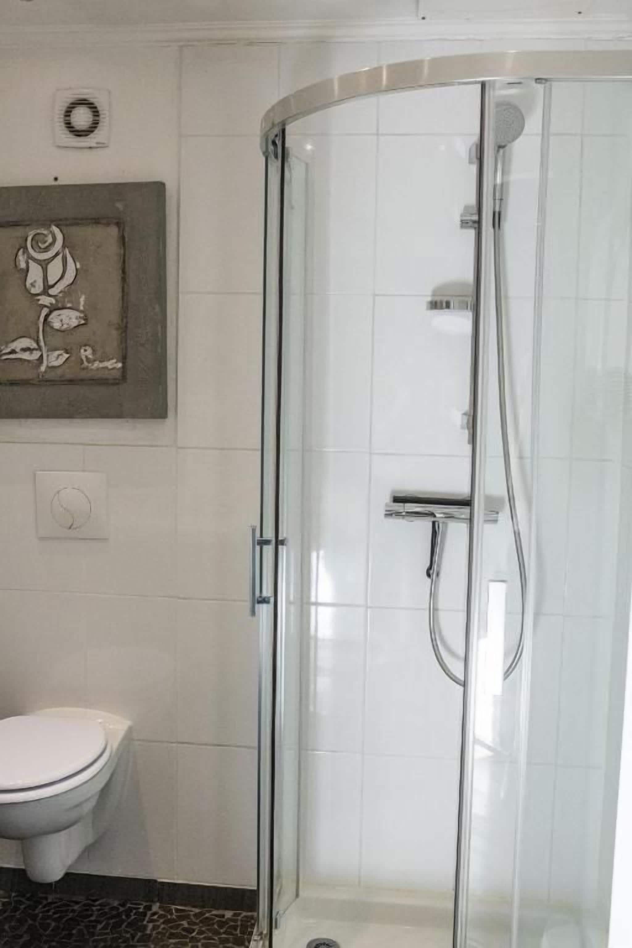 A glass-enclosed shower with a handheld showerhead, a toilet, and a framed artwork on the wall.