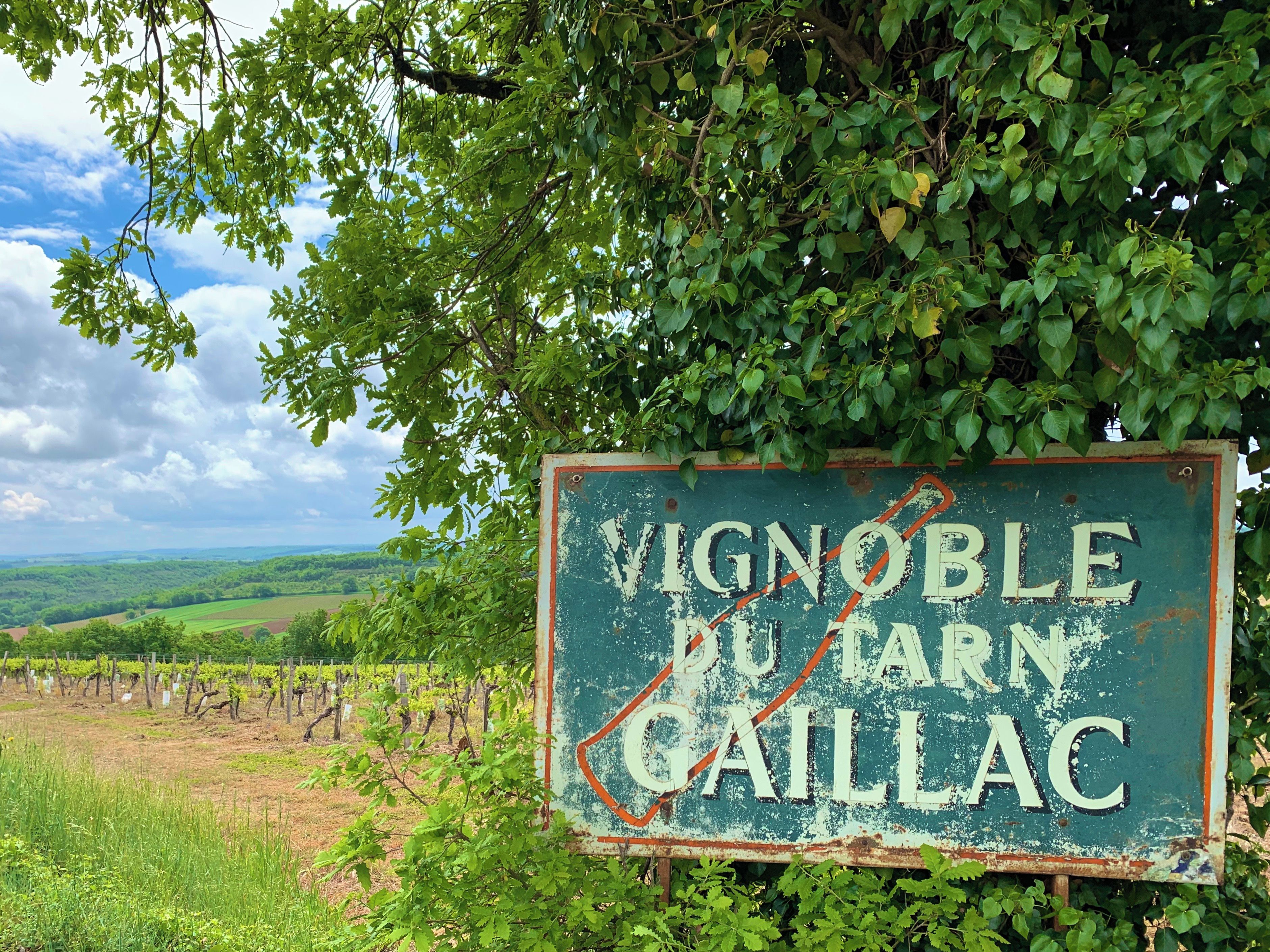 A weathered sign with the text 'VIGNOBLE BUARN GAILLAC' partially obscured by foliage.