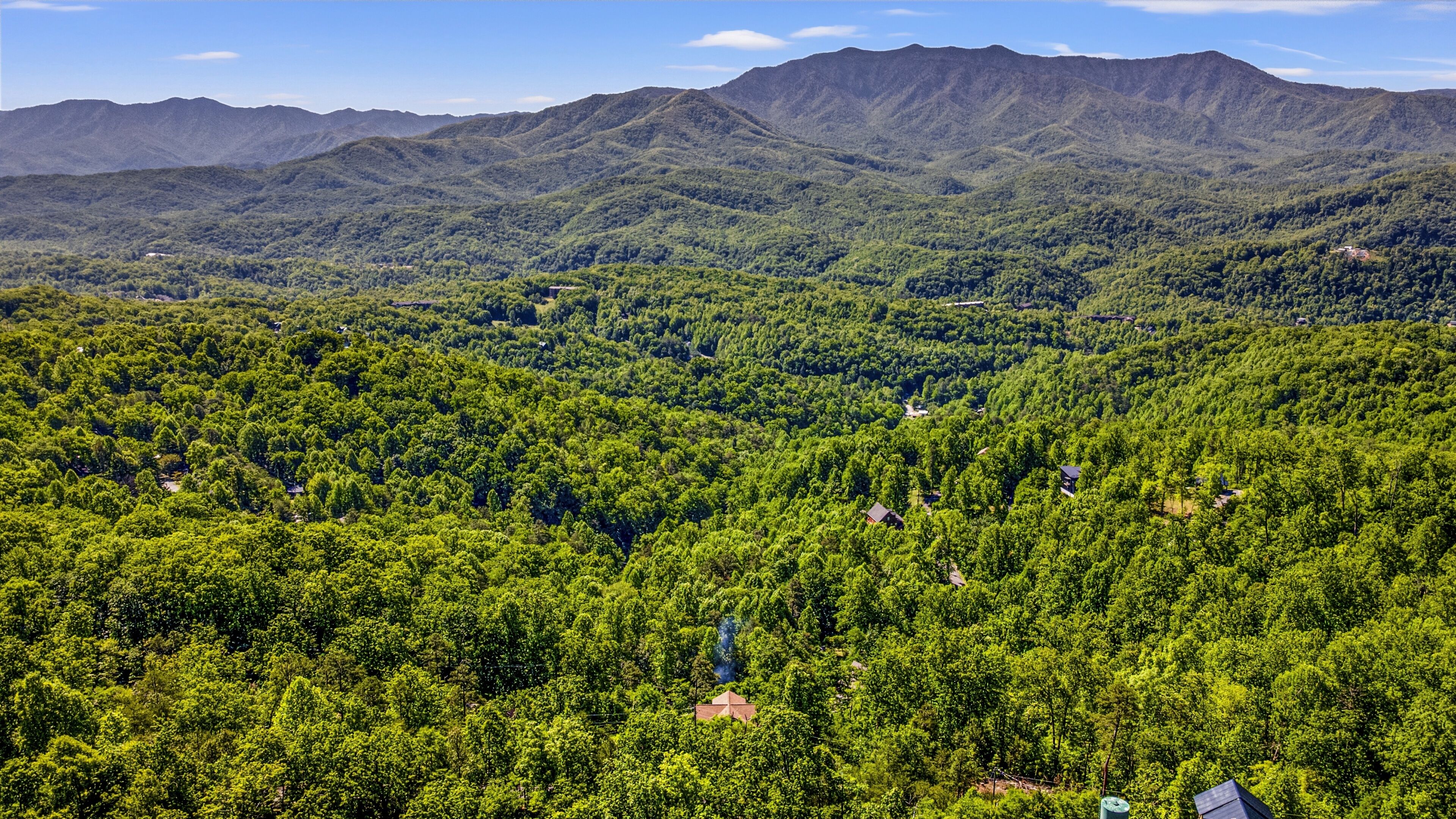 A forested landscape with mountains in the background.