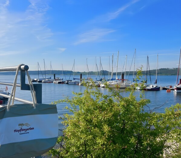 Un port de plaisance où sont amarrés de nombreux voiliers, entouré de verdure et sous un ciel dégagé.